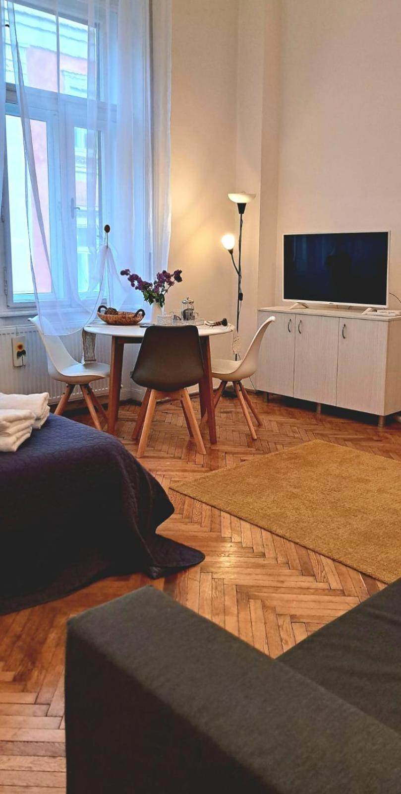 Travel And Music Apartment Timişoara Exteriör bild